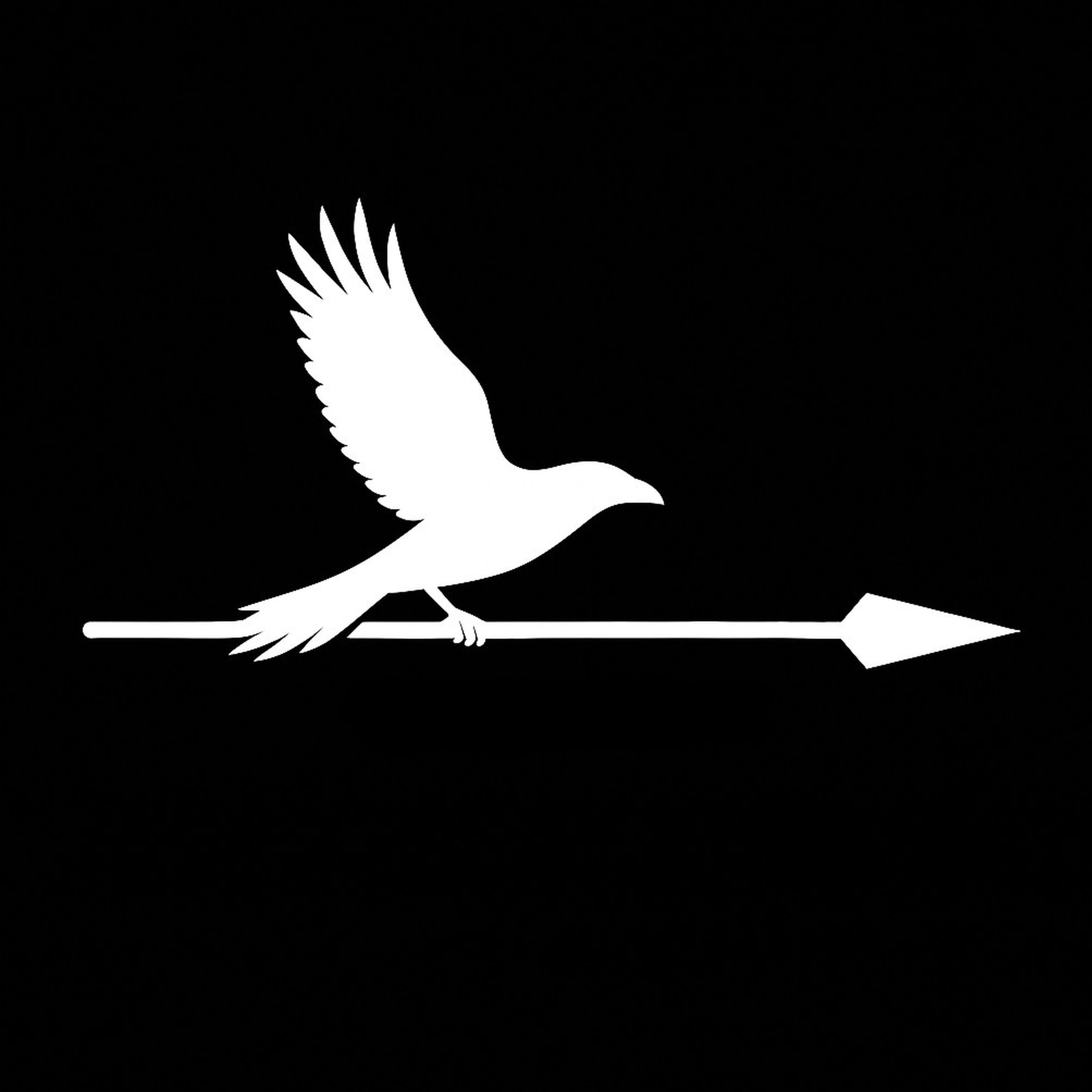 Morrighan Edge logo